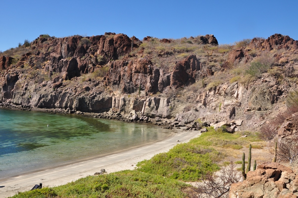 vegetación bahía loreto Conanp