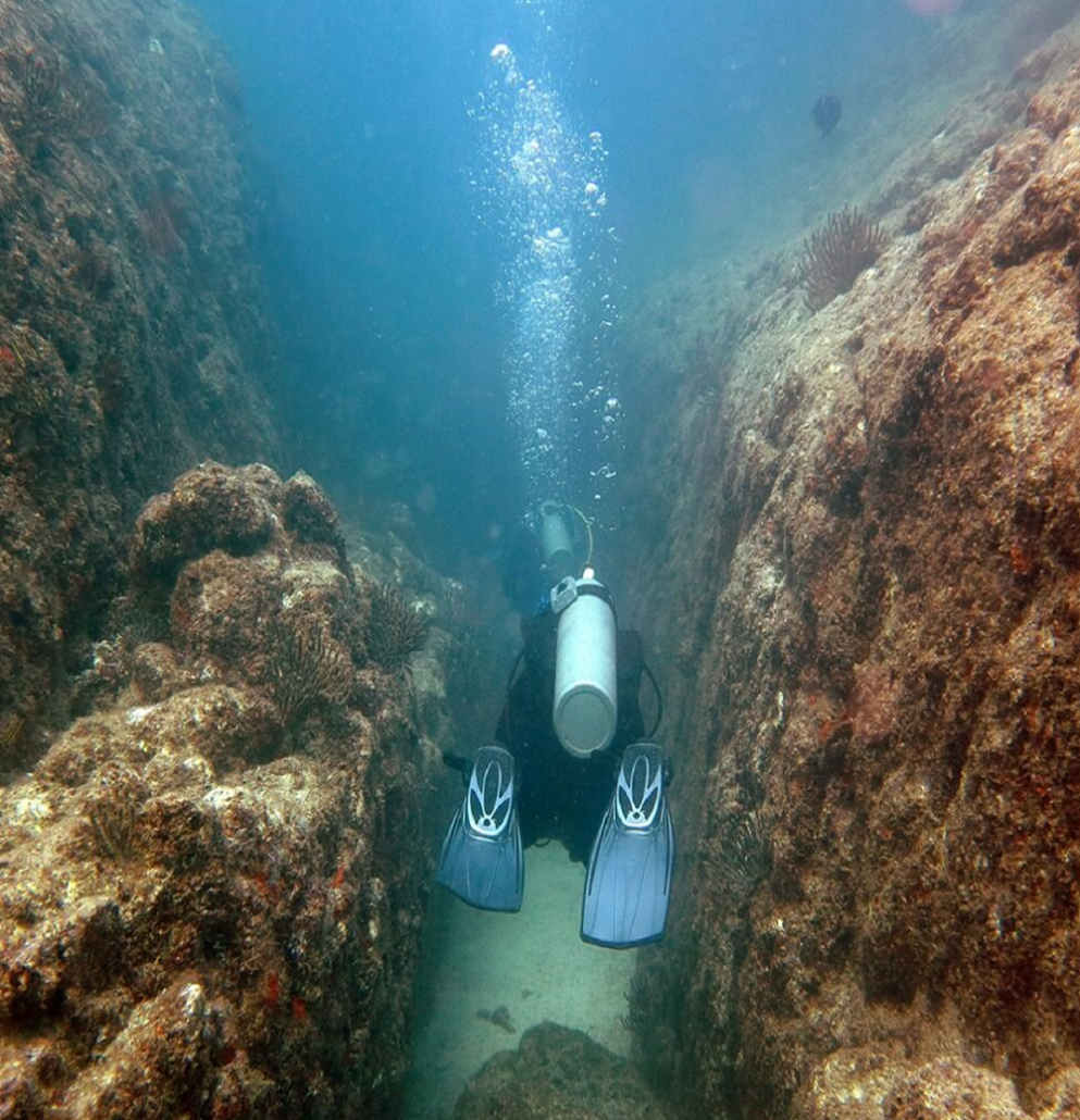 buceo bahia loreto Conanp